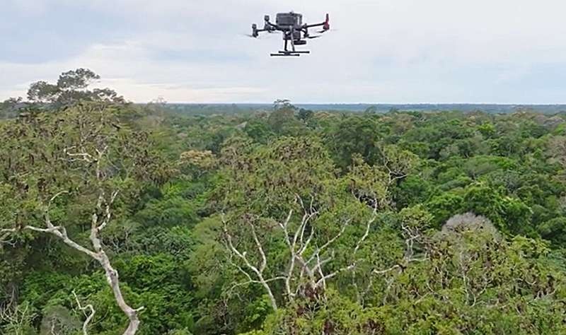 Who lives in the rainforest treetops? DNA-collecting drone provides insights