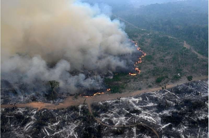 Aerial view of an area of Amazon rainforest deforested by illegal fire in the municipality of Labrea, Amazonas State, Brazil, taken on August 20, 2024