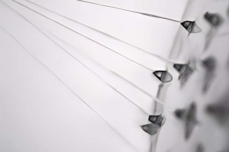 Spinning artificial spider silk into next-generation medical materials