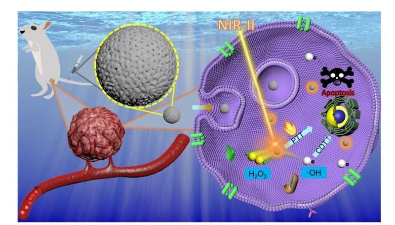 Iron-doped carbon based nanoparticles boost cancer treatment with enhanced precision and safety