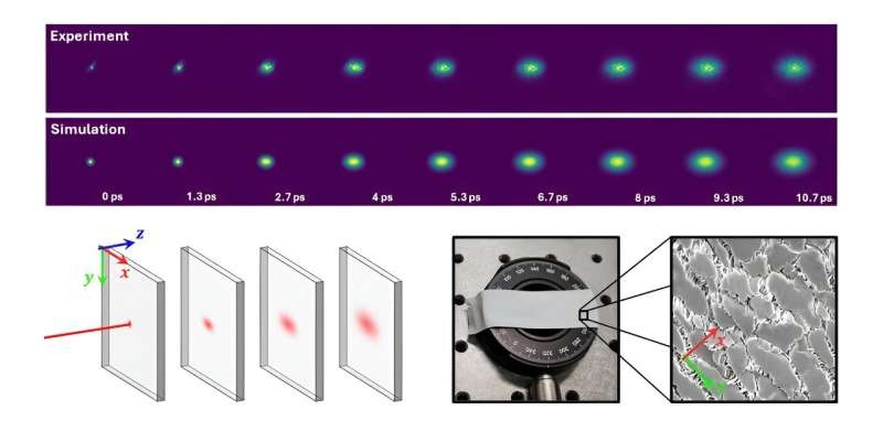 New method improves understanding of light-wave propagation in anisotropic materials