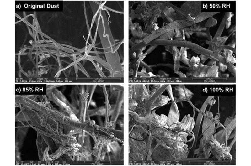 Keeping mold out of future space stations