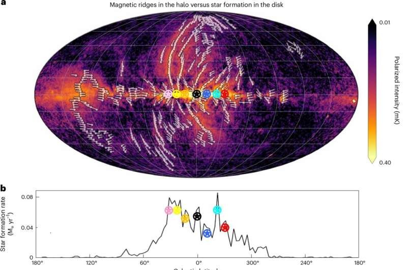 A magnetic halo in the Milky Way: New findings about galactic outflows