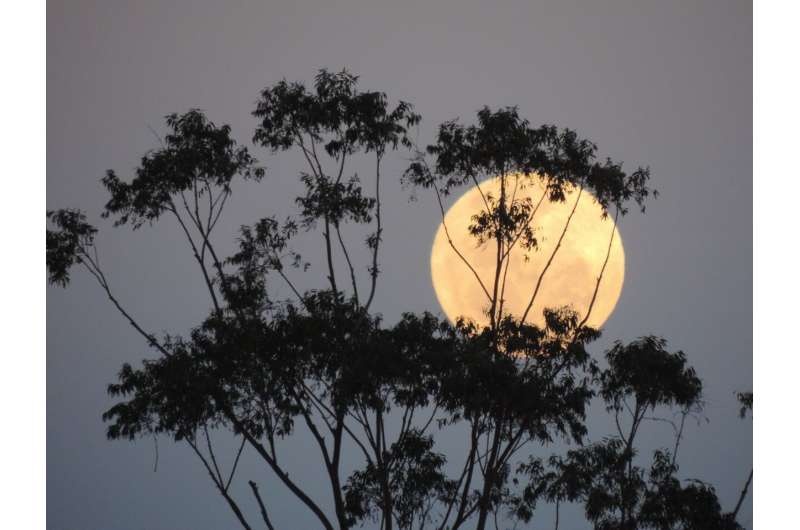 Supermoon