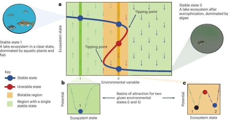 New study reveals evolution's role in ecosystem stability and tipping points