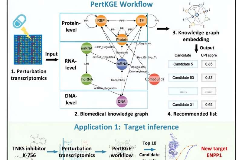 New AI tool efficiently deconvolutes compound-protein interactions