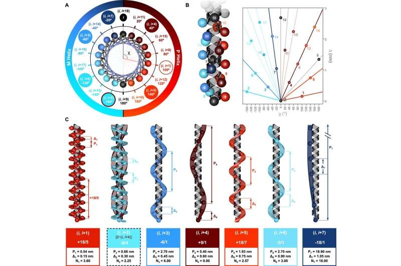 New model sheds light on the chemistry surrounding peptide helices