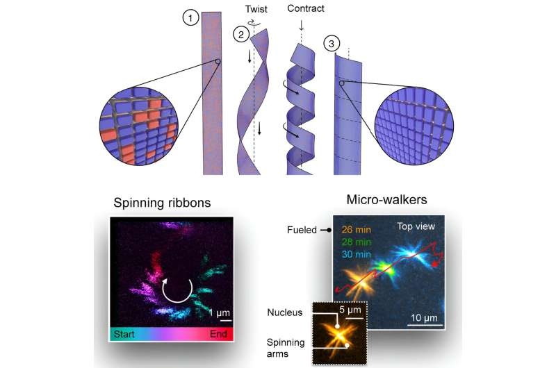 Synthetic mini-motor: Researchers convert chemical energy into rotational energy at the supramolecular level