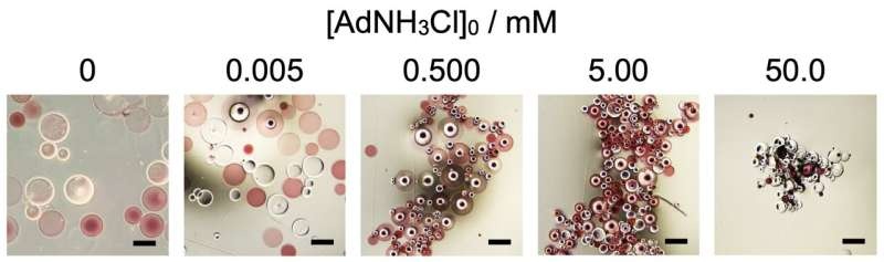 Smart supramolecular assemblies