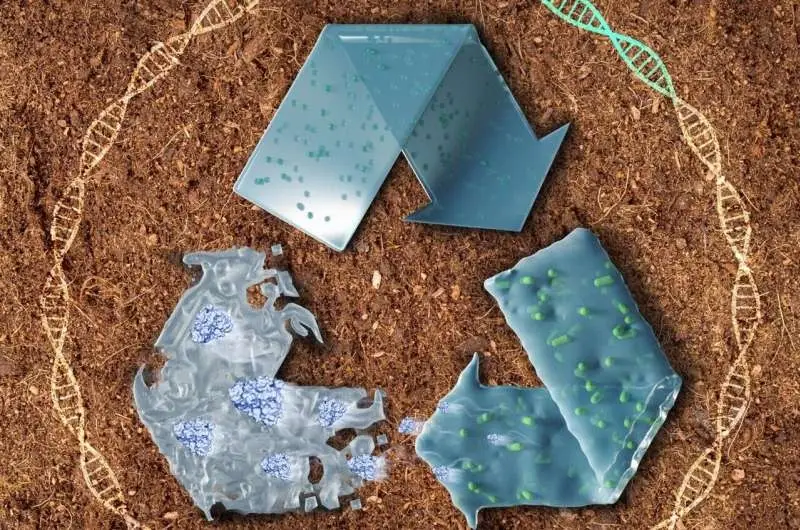 Living plastics: a new solution for plastic degradation through synthetic biology