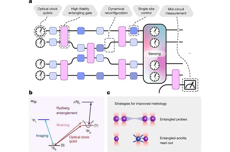 Merging atomic clocks with quantum computers