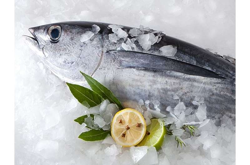 Regular fish intake tied to lower risk for tinnitus in women