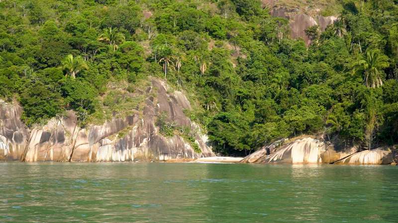 Effects of environmental factors on Southeast Brazil's coastal biodiversity surpass those of ecological processes