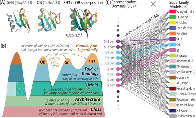 New study challenges traditional views on protein structure