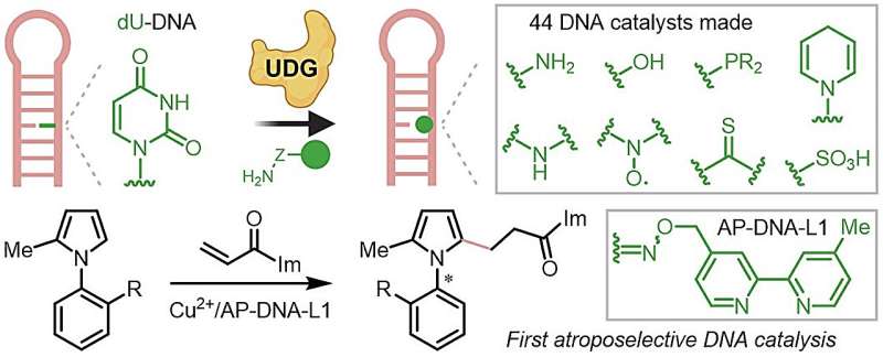 Asymmetric catalysis with DNA hybrid catalysts