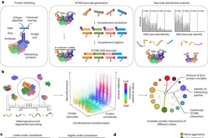 DNA nanotechnology unravels complex protein interactions to inform cancer diagnostics