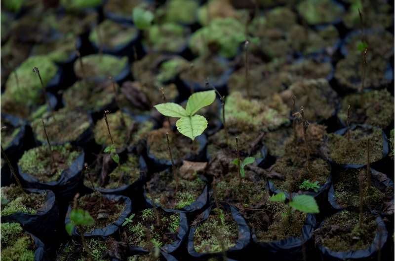 With the plant world facing a raft of human-driven challenges -- including erosion, deforestation, pollution and a burgeoning extinction crisis -- the future of the world's biodiversity and crops are increasingly feared to be under threat