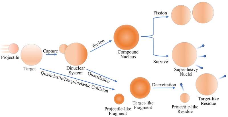 New insights into exotic nuclei creation