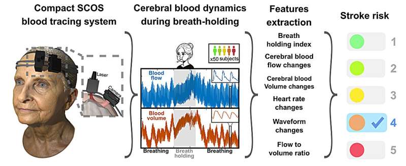 USC-Caltech team tests new noninvasive tool to predict stroke risk