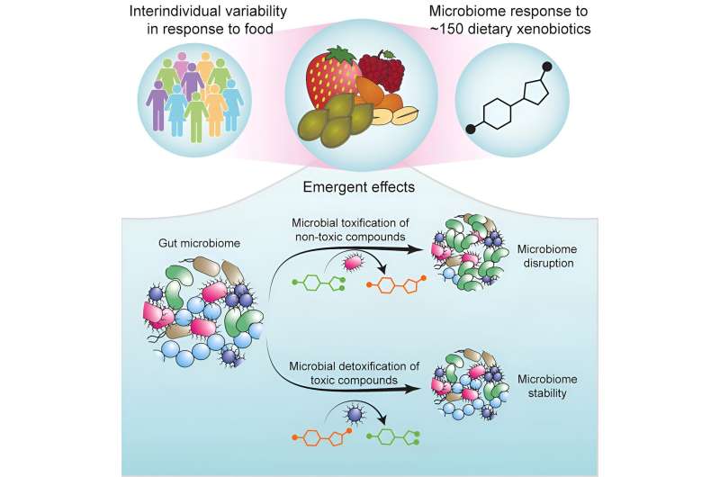Molecular map shows the way towards better food choices