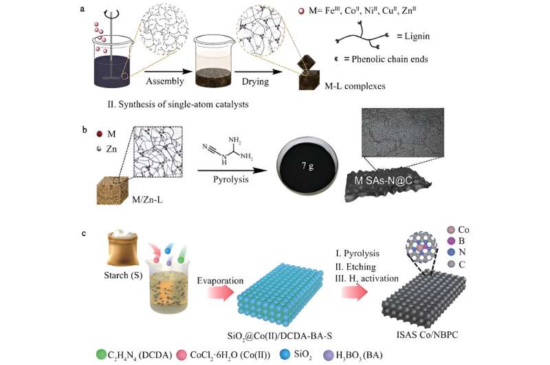 Revolutionary biomass-derived catalysts pave the way for sustainable chemical production