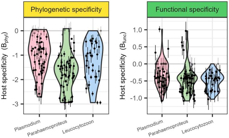 Study reveals how parasites thrive by balancing specialization with exploiting diverse species communities