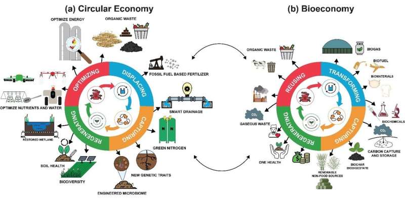 Transition to a circular bioeconomy requires getting prices right