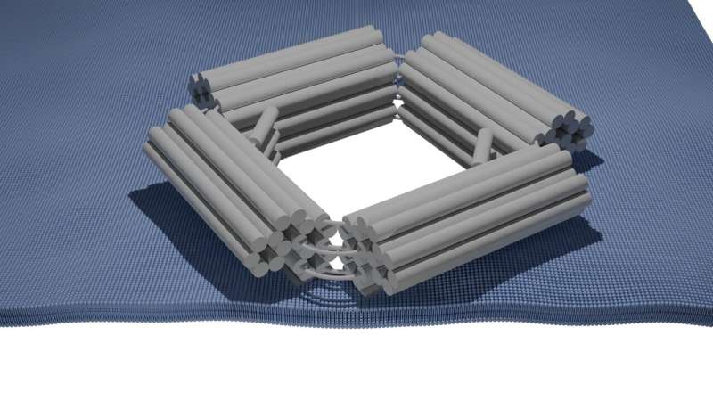 Compliant DNA nanopores capable of size-selective molecule transport across cell membrane